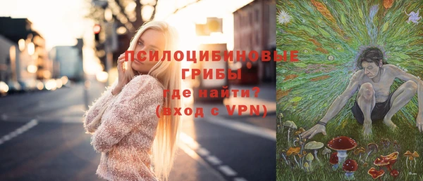 спиды Аркадак